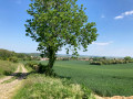 Bois des Bruyères (Angres) depuis le collège Jean Vilar