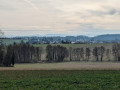 Vue d'Eschentzwiller