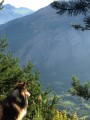 Vue d'un balcon