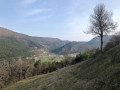 Les sentiers non cartographiés des crêtes boisées du Haut-Estéron