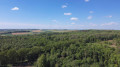 En sous-bois sur les hauteurs d'Ablin-Saint-Nazaire