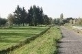 Boucle familiale de la Loire à Vélo par les Radis