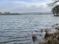 Vue de l'étang Berthaud