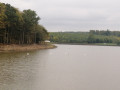 Vue de l'étang d'Albestroff