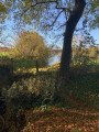 Vue de l'étang