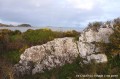 Vue de l'île Cruckin