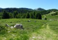 Les Lacs du Col Bas Les Lacs du Col Bas
