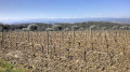 vue de la chaine des pyrénées