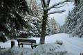 Vue de la Croix du Loup