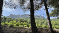 Les dentelles de Montmirail à partir de Gigondas