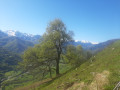 vue de la Fontaine de Serres