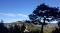 Vue de la forteresse en ruines près de Caudiès