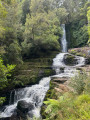 Maclean Falls