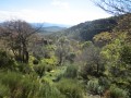 Vue de la vallée de Feissolade