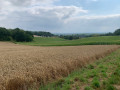 Vue de la vallée des Caracos; la forêt de Compiègne au loin