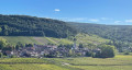 Vue de Meursault