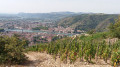 Vue de Tain-l'Hermitage et Tournon