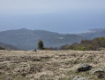 Vue de Varrazze