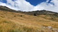 Vue depuis l'Alpe Rocce