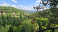 vue depuis la roche des bœufs