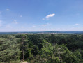 Vue depuis la tour denecourt