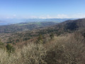 Vue depuis la tour vers le sud