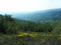 Vue depuis le chemin