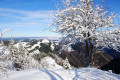 Vue depuis le crêt de Chalam