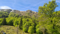 Vue depuis le Frankenthal