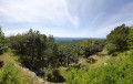 Vue depuis notre-dame
