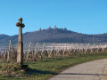 Vue des 3 châteaux depuis Eguisheim