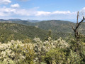 Sentier du Deffend au Nord de Sainte-Maxime