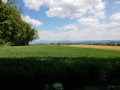 Du Haut-Rebberg au Tannenwald au départ du Belvédère de Mulhouse