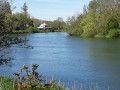 vue des bords de l'Yonne