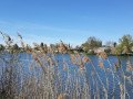 En famille le long de l'Yonne depuis Cannes-Écluse