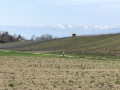 Rundtour von Landecy zu den alten Ziegeleien von Bardonnex