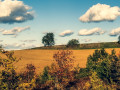 Vue des coteaux des Layrac Vue des coteaux des Layrac