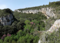 Vue des falaises