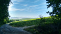 Vue des hauteurs d'Ay