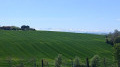 Autour de Montgazin par le Domaine Lastronques