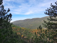 Vue du "balcon" sud depuis le valat du Col de Comte