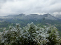 Vue du belvédère des Marais