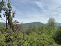 Vue du boucle du marais
