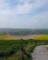 Le Cap Blanc Nez depuis Sangatte