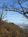 View of the castle