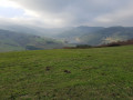 Vue du Crêt Marcoux