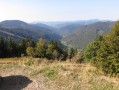 vue du Feldberg