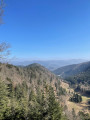 Vue du haut de la Cascade direction Gazon Vert