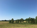 Vue du Marais de Cassan