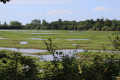 Tour du Marais Sud d'Orx